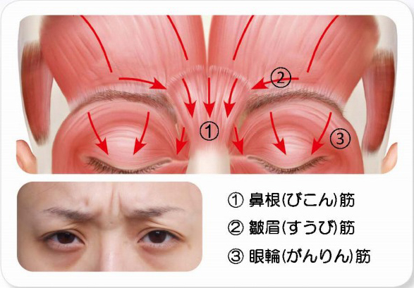 三郷 八潮 南流山で目元のしわや睫毛貧毛症のことなら三郷中央きむら眼科 三郷 八潮 南流山で目元のしわや睫毛貧毛症のことなら三郷中央きむら眼科